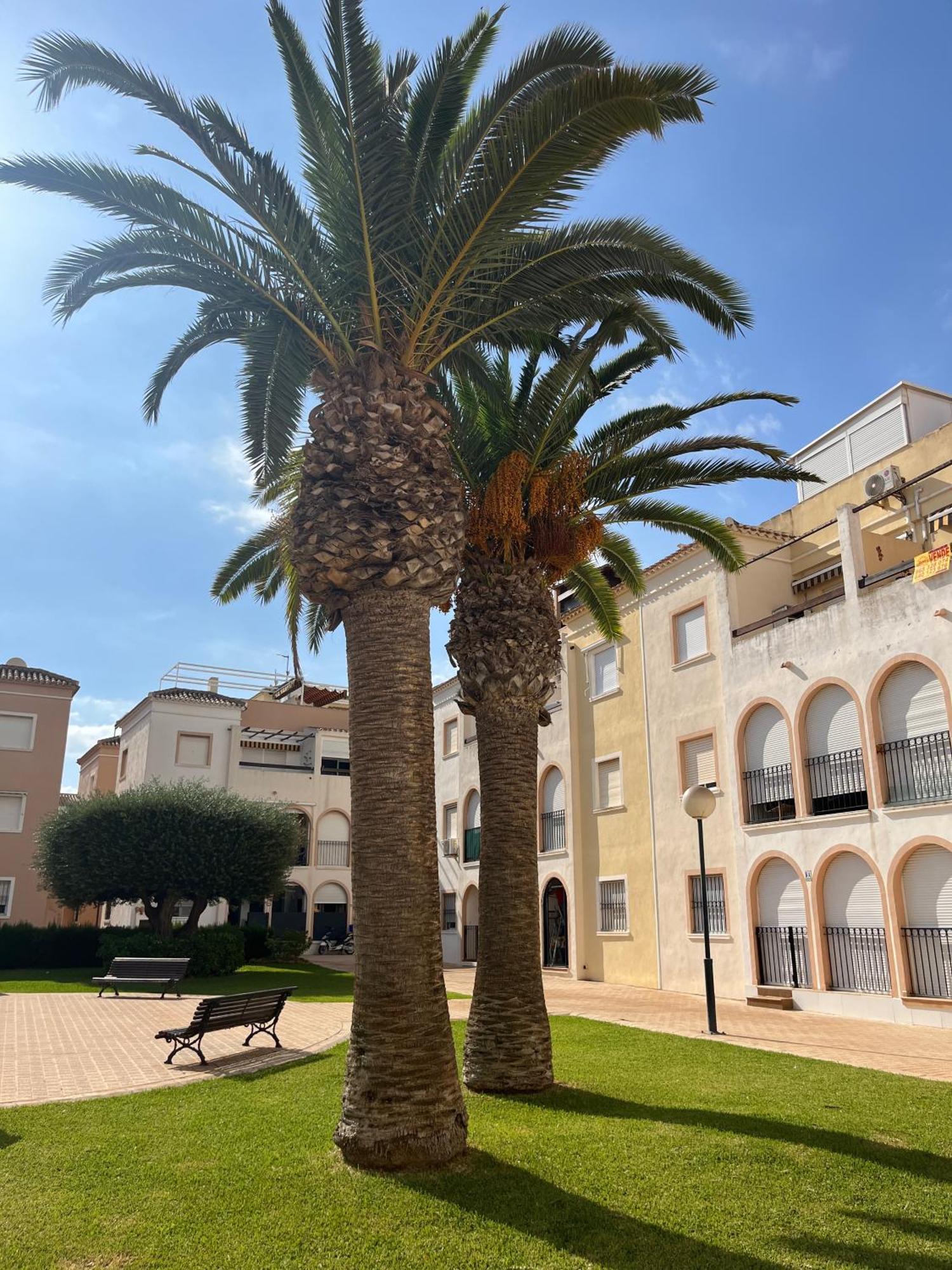 Torrevieja 2 Bedrooms Appartment מראה חיצוני תמונה